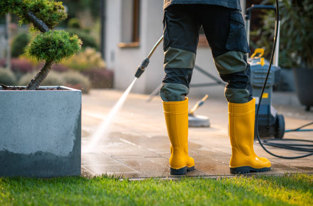 Best House Pressure Washing  in Crothersville, IN